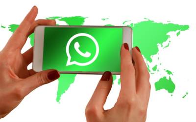 Lo stato online su Whatsapp si potrà nascondere, come fare se si desidera