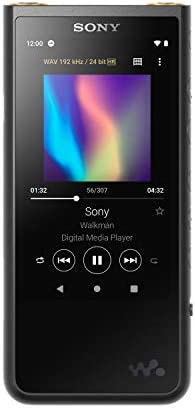 Sony Walkman NWZX507:S