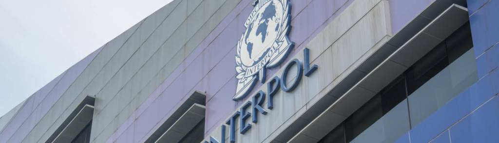 INTERPOL metacrime