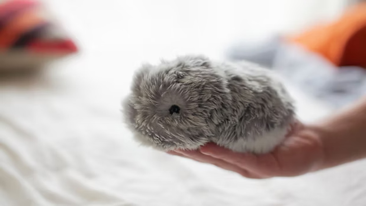 Robopets: il futuro della compagnia emotiva si gioca sull’intelligenza artificiale