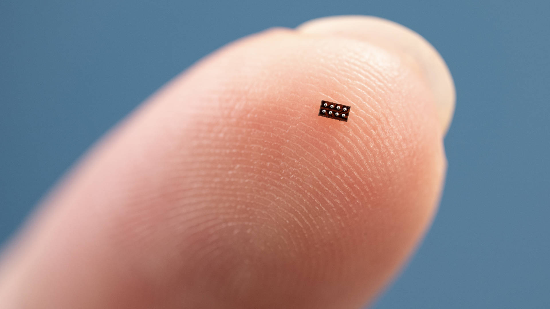 Il più piccolo MCU al mondo: quando l’innovazione entra in un granello di pepe