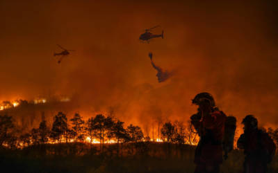 L’AI che setaccia i social durante le catastrofi per guidare i soccorsi