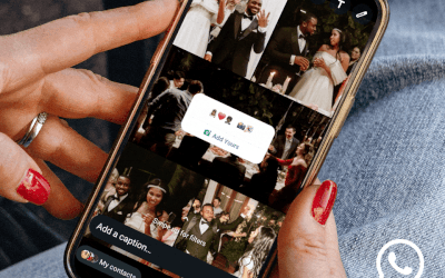WhatsApp diventa più creativo: collage, musica e sticker personalizzati nei nuovi Status