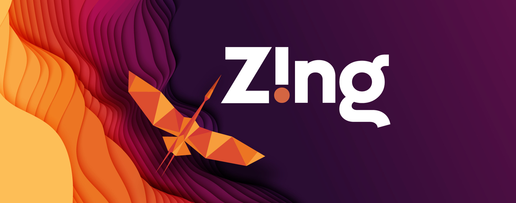 ZING Var Group