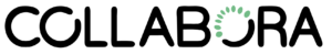 CollaboraSEC