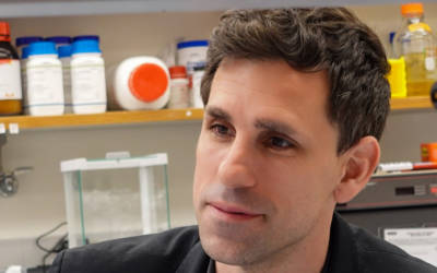 L’antibiotico di Neanderthal: AI e medicine dagli estinti
