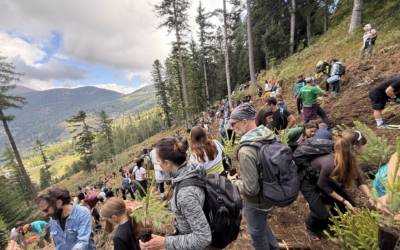 VAIA e la Foresta degli Innovatori 2026: la comunità che sceglie dove guardare