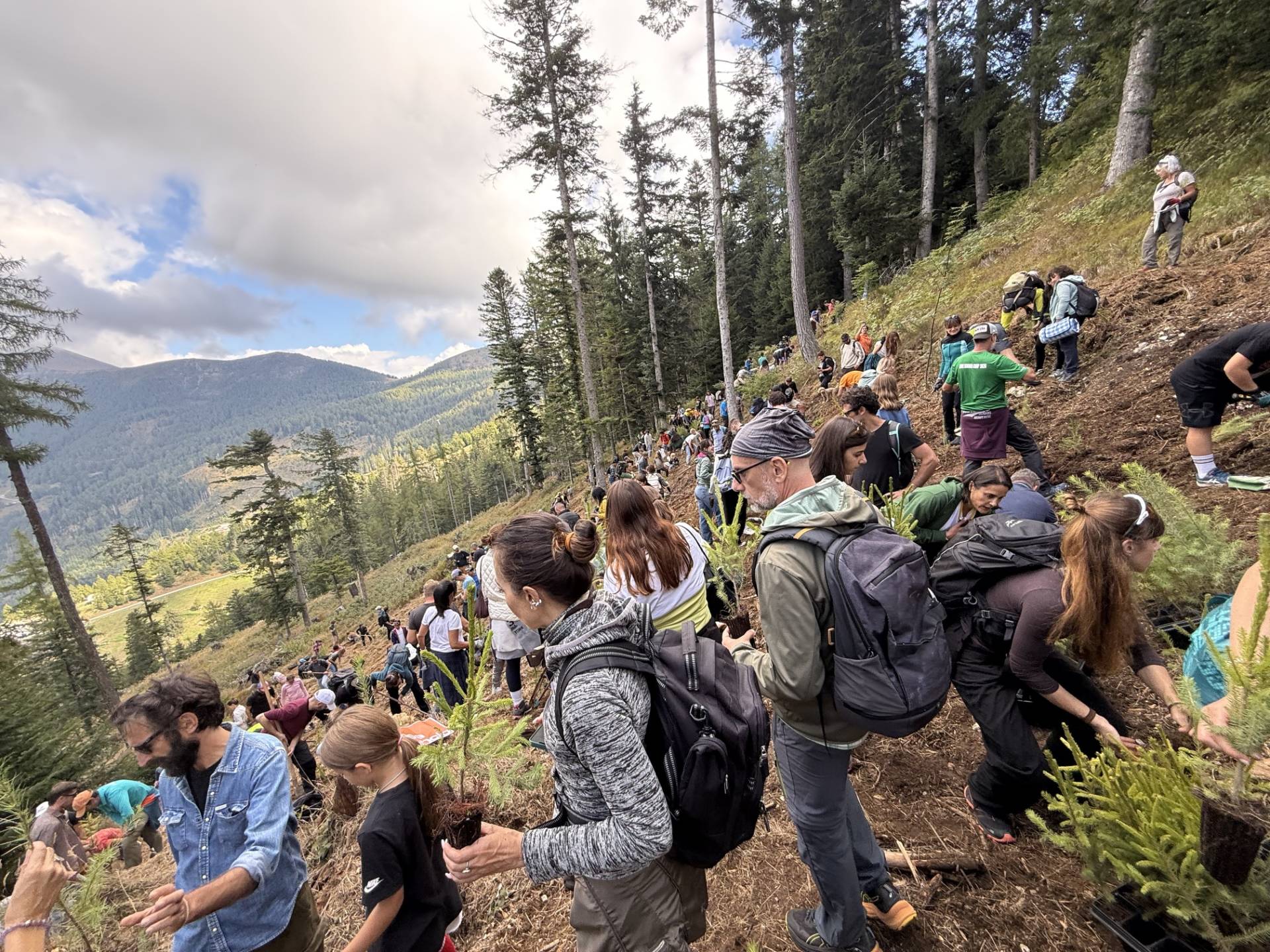 La Foresta degli Innovatori:
